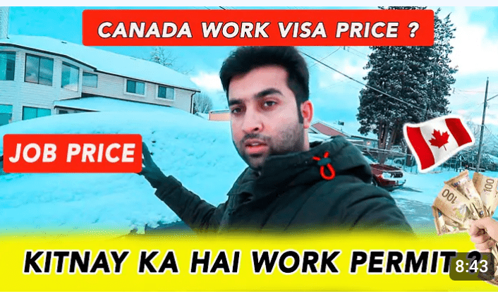 Unlocking Entrepreneurial Opportunities: Canada's C11 Work Visa 